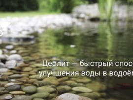 Цеолит Мрамор/Зеленый от 1 Кг