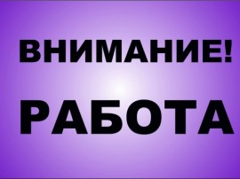 На выбор: подработка или карьера.