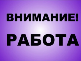 На выбор: подработка или карьера.