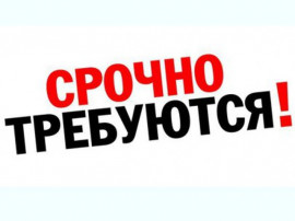  Рекламный сотрудник в интернет- магазин.