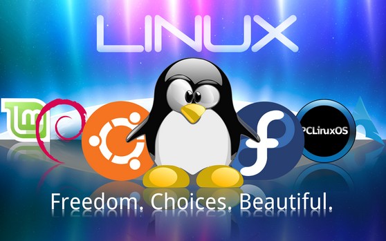 The History of Linux: How It All Began