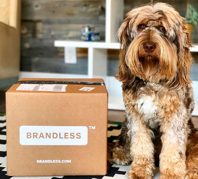 Brandless: An Online Supermarket Without Brand-Name Products