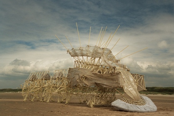 Check out Theo Jansen’s Wind-Powered Creatures That Walk and Breathe!