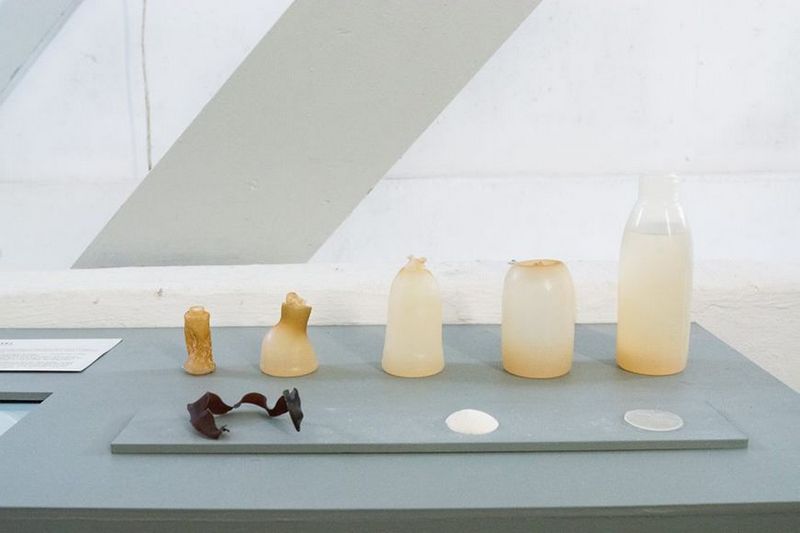 Seaweed Bottles