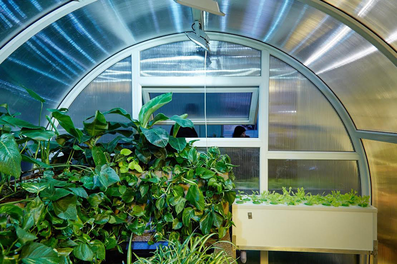 Smart Greenhouse: Precision and Effectiveness in Plant Care