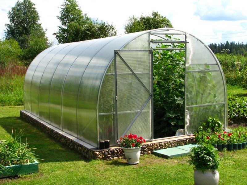 The Benefits of Greenhouse Production