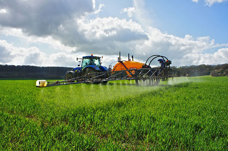 Successful Farming: What it Takes to Become a Farmer from Scratch