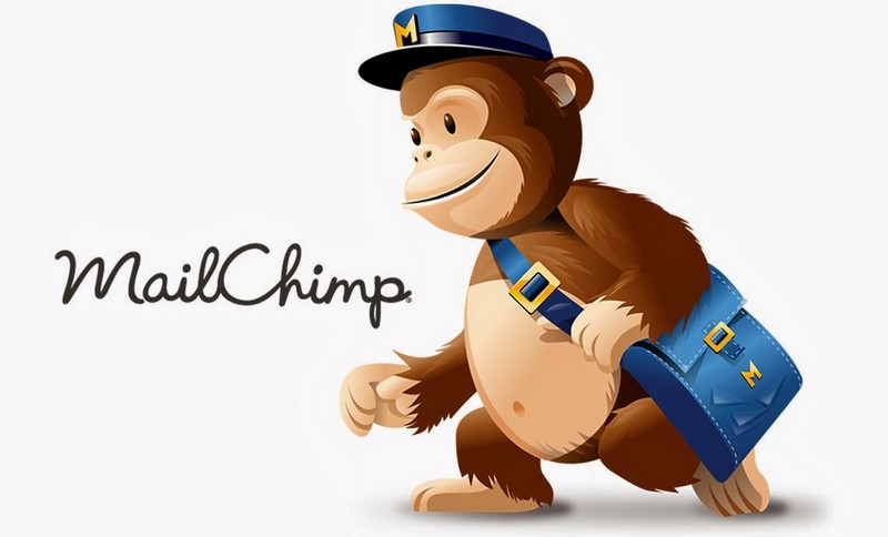 MailChimp: The Story of an Email Marketing Leader
