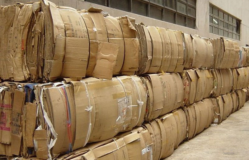 Collecting Paper Waste - A Controversial Business Idea with Great Potential