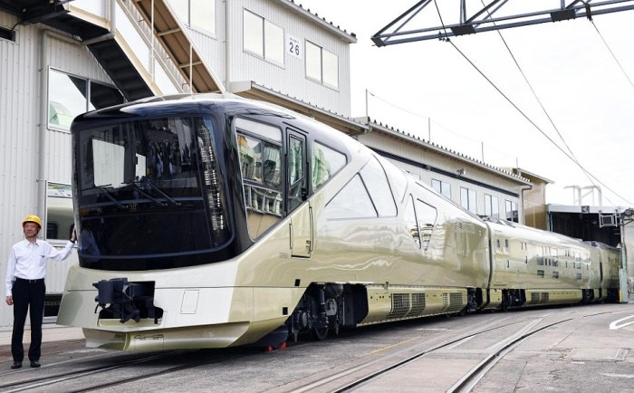 Luxury Travel Excursion Train