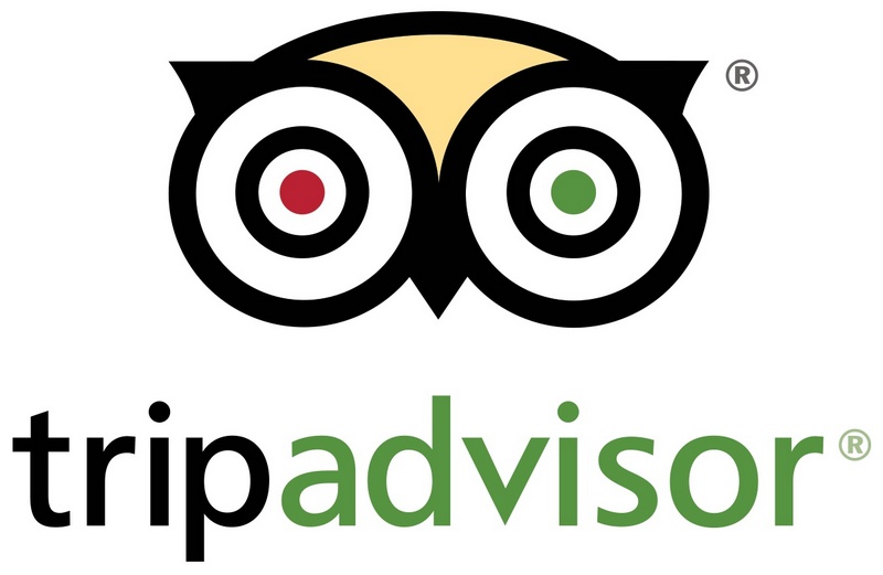 The Success Story of TripAdvisor Travel Company