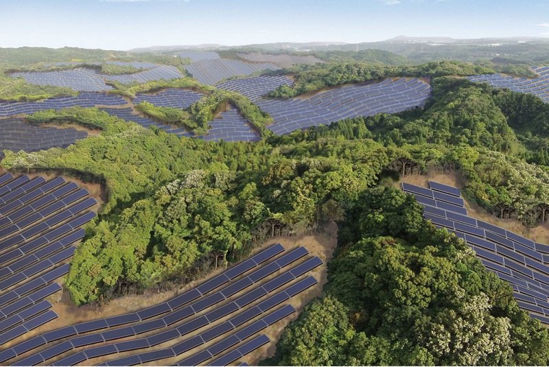 "Sunny Farm on the Golf Course: Building a Business Idea through Smart Land Use"
