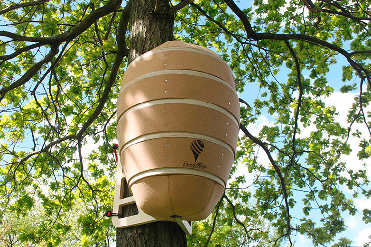 Beehive in the City