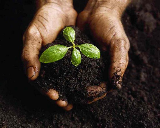 Starting Your Own Business: Setting Up a Bio-Humus Production
