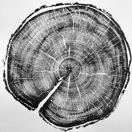Tree Stump Impressions