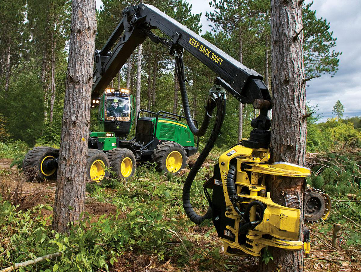 How to Make Money by Cutting Down Trees?
