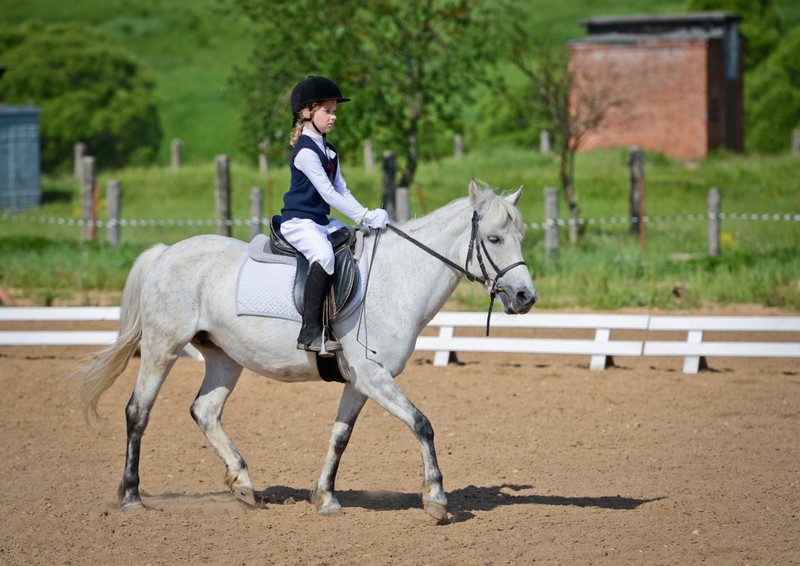 Title: Riding School Startup Guide: Step-by-Step Plan for Developing this Business Idea