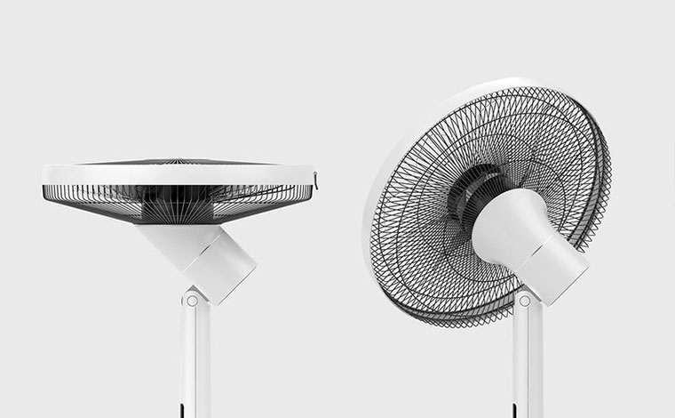 360-Degree Fan