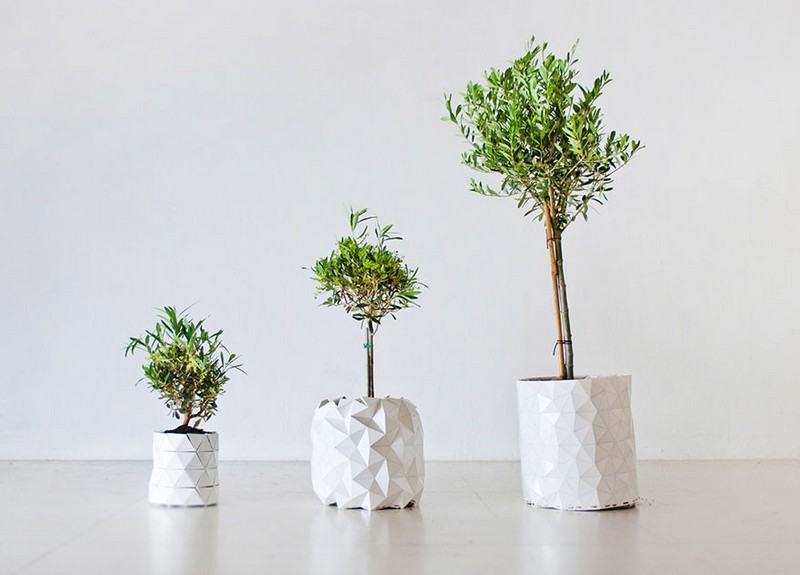 Pot Growth - the perfect gift for florists and plant enthusiasts
