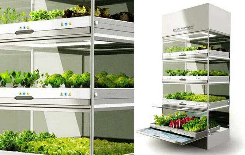 How to Make Money with Your Own Mini Indoor Garden in the Kitchen