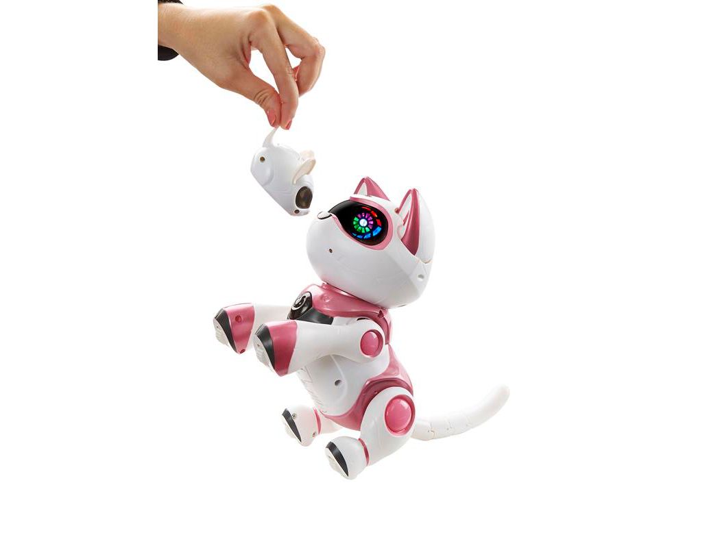 Teksta Kitty: Robot Cat