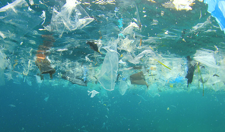 Upcycling Ocean Garbage into Dinnerware